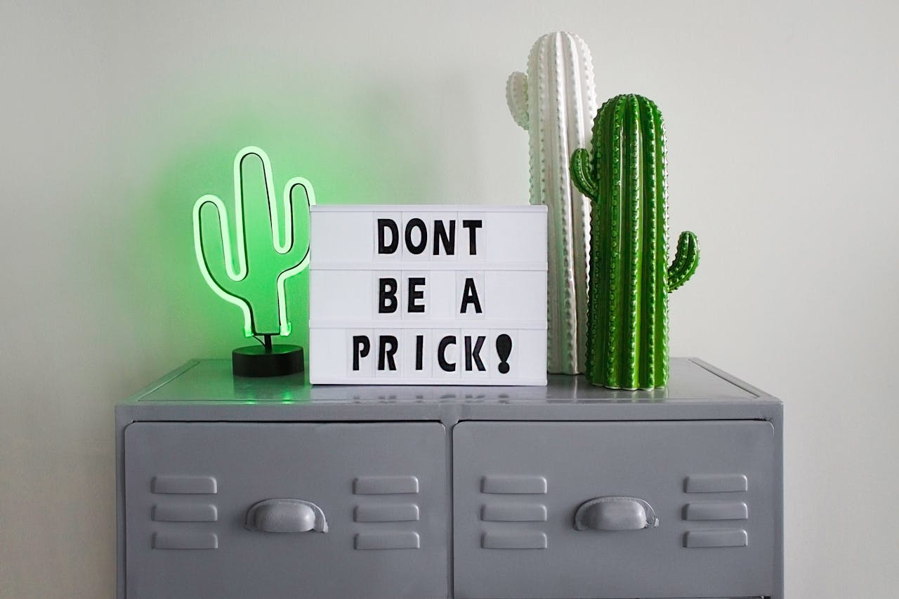 about-us-01 Creative cactus-themed indoor decor with playful neon and motivational text.